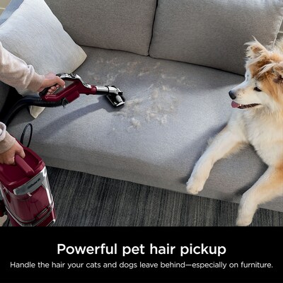 Shark Detect Lift-Away ADV Upright Vacuum, Bagless, Burgundy (LA492)
