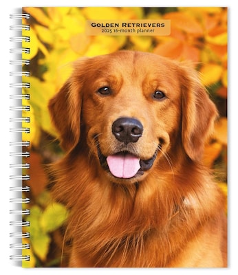 2025 BrownTrout Golden Retrievers 6 x 7.75 Weekly Engagement Planner, Paper Cover, Multicolored (9