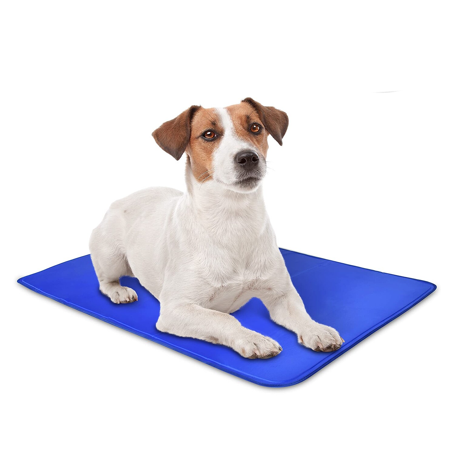 Arf Pets Non-Toxic Gel Dog Cooling Bed Mat for Kennels, Small, Blue (APCLPD019)