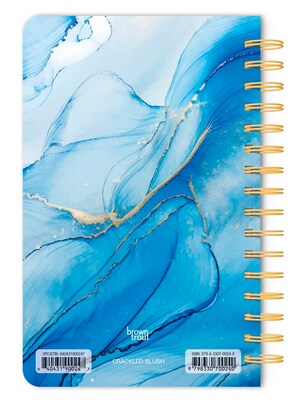 BrownTrout Crackled Blush 5.25 x 8.25 Academic & Calendar Year Personal Organizer, Multicolored (9