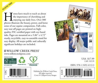 2025 Willow Creek What Horses Teach Us 6 x 5.5 Day-to-Day Calendar (41123)