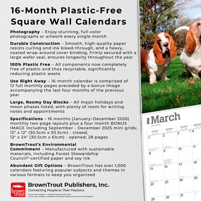 2026 BrownTrout Basset Hounds 12" x 12" Monthly Wall Calendar (9798330702329)