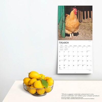 2025 BrownTrout Roosters 12" x 12" Monthly  Wall Calendar (9781975477639)