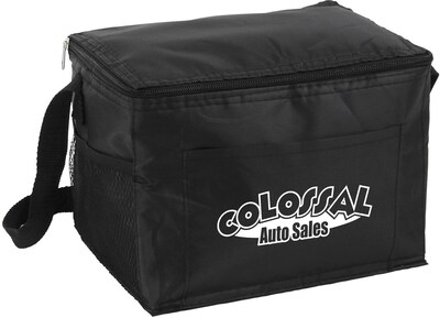 Budget Cooler Bag