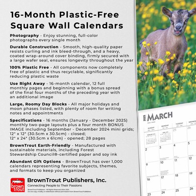 2025 BrownTrout Baby Goats 12" x 12" Monthly Wall Calendar (9781975476571)