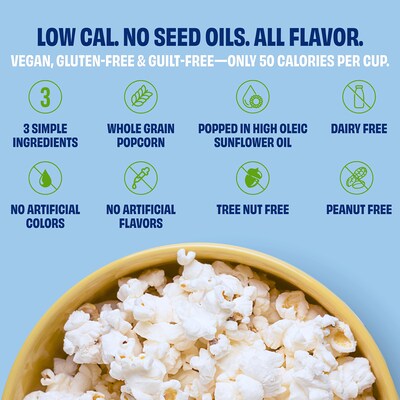 Poptime Avo Sea Salt Popcorn, 1 oz., 24/Pack (220-02882)