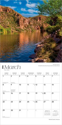 2026 BrownTrout Arizona Wild & Scenic 12" x 12" Monthly Wall Calendar (9798330702145)
