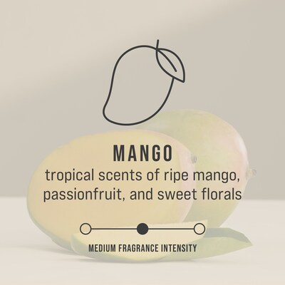 Rubbermaid TCell Passive Air Care Systems & Refills, 1.6 oz., Mango Blossom, 6/Carton (FG402369)