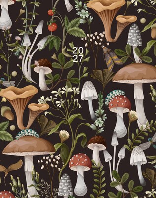 2027 Willow Creek Mushrooms 7.5 x 9.5 Monthly Desk Calendar, Assorted Colors (66904)