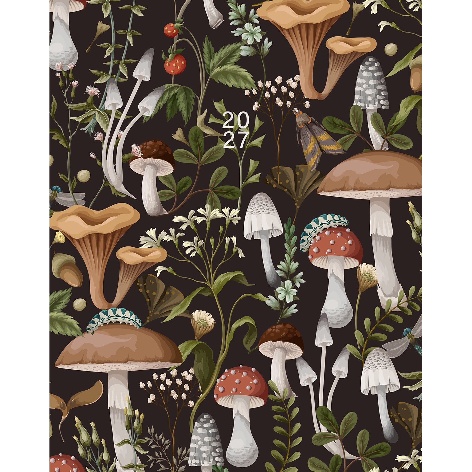 2027 Willow Creek Mushrooms 7.5 x 9.5 Monthly Desk Calendar, Assorted Colors (66904)