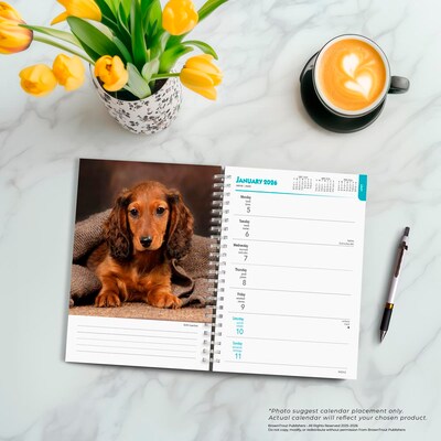 2026 BrownTrout Dachshunds 6.5" x 7.75" Weekly Planner (9798330703104)