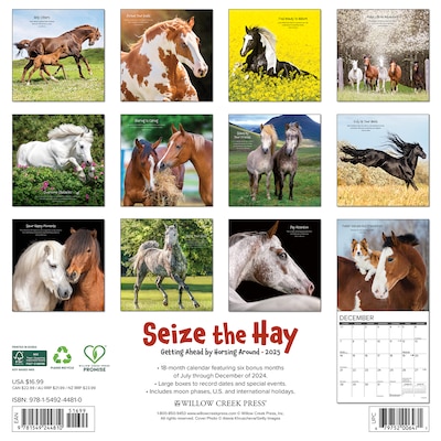 2025 Willow Creek Seize the Hay (Horse Humor) 12 x 12 Monthly Wall Calendar (44810)