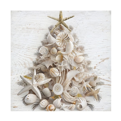 Trademark Fine Art Sasha Seaside Christmas I Canvas Art, 24" x 24" (ALI67654-C2424G)