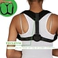 Mind Reader Mesh Posture Aid Support, One Size (BACKPOS-BLK)