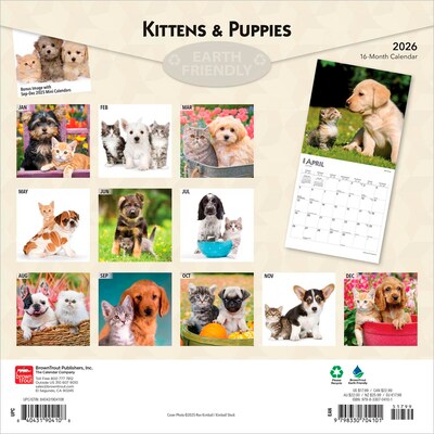 2026 BrownTrout Kittens & Puppies 12 x 12 Monthly Wall Calendar (9798330704101)