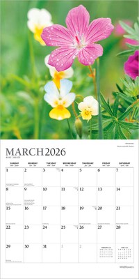 2026 Plato Wildflowers 12" x 12" Monthly Wall Calendar (9798330706662)
