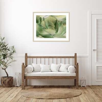Amanti Art Petal I by Tang Ling Wood Framed Wall Art Print, 41 x 33 (A42675533997)