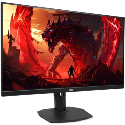 Acer Nitro XF3 23.8" Gaming Monitor, Black (UM.QX1AA.103)