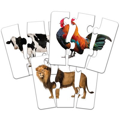 The Learning Journey Match It! Head to Tail (LJI345726)