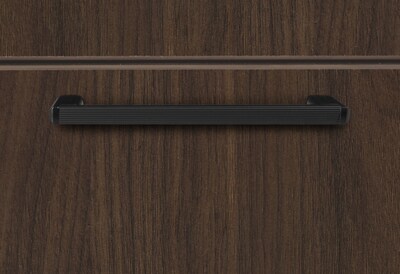 Regency Legacy 2-Drawer Lateral File, Neo Walnut (LPLF3624NW)
