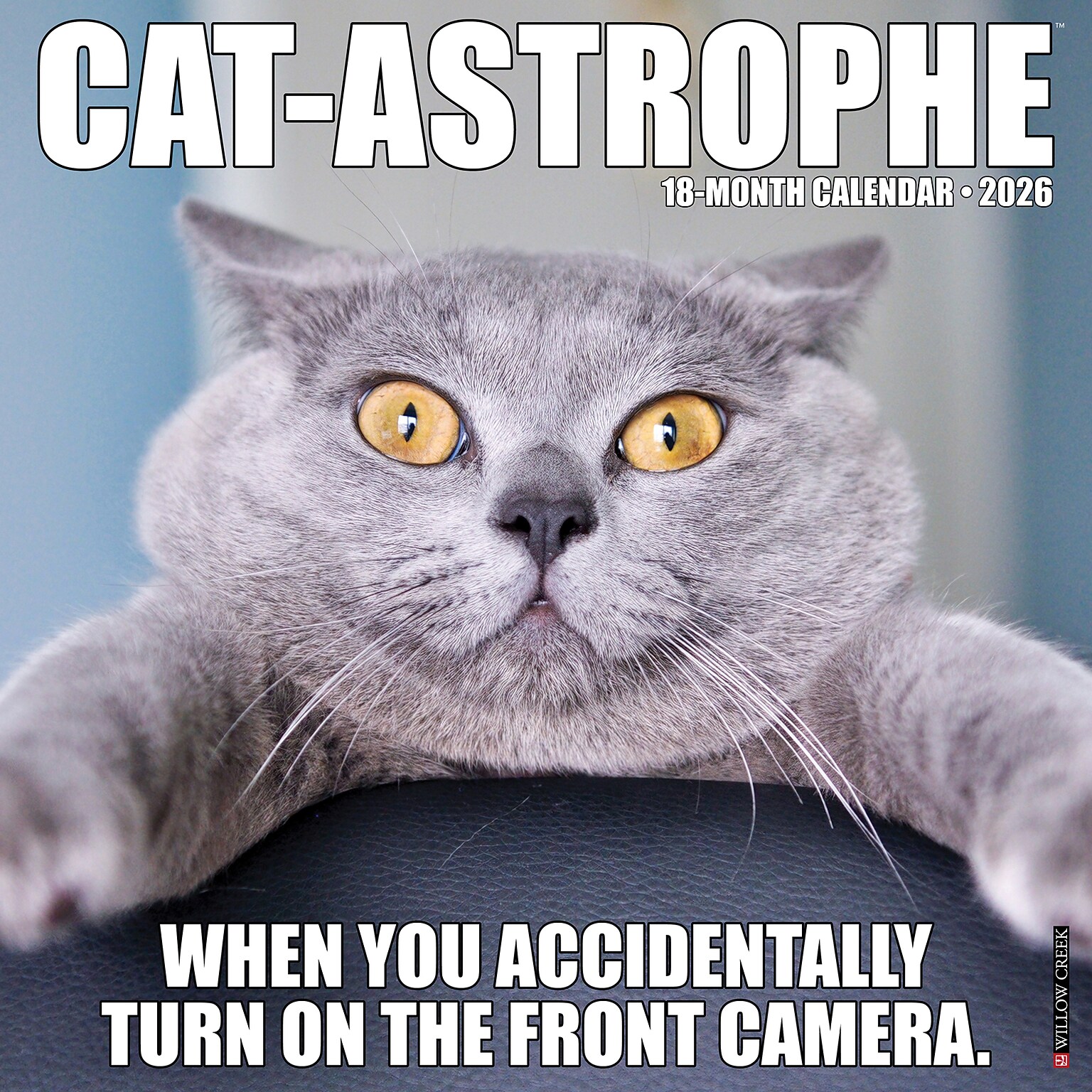 2026 Willow Creek Cat-astrophe 12 x 12 Monthly Wall Calendar (50606X)