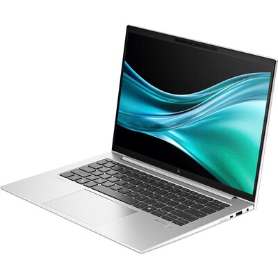 HP EliteBook 845 G11 14" Laptop, AMD Ryzen 7 PRO 8840U, 32GB RAM, 512GB SSD, Windows 11 Pro (A6TB0UT#ABA)