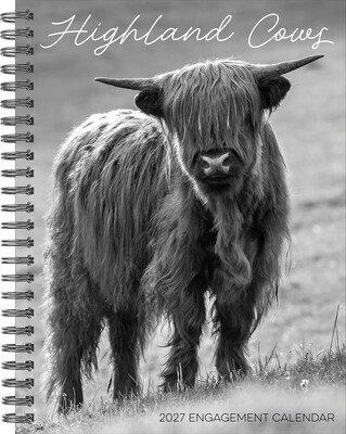2027 Willow Creek Highland Cows 6.5 x 8.5 Weekly & Monthly Desk Calendar (64412)
