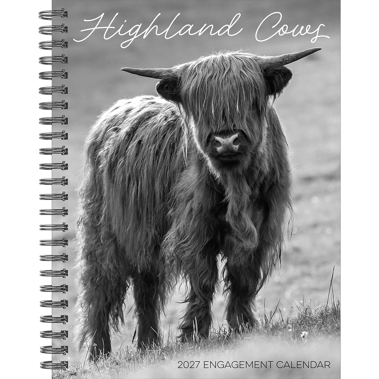 2027 Willow Creek Highland Cows 6.5 x 8.5 Weekly & Monthly Desk Calendar (64412)