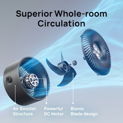 DREO Desk Fan, 3-Speed, Gray (DRHAF009)