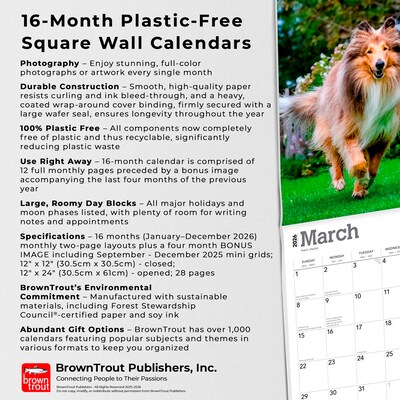 2026 BrownTrout Collies 12" x 12" Monthly Wall Calendar (9798330702985)