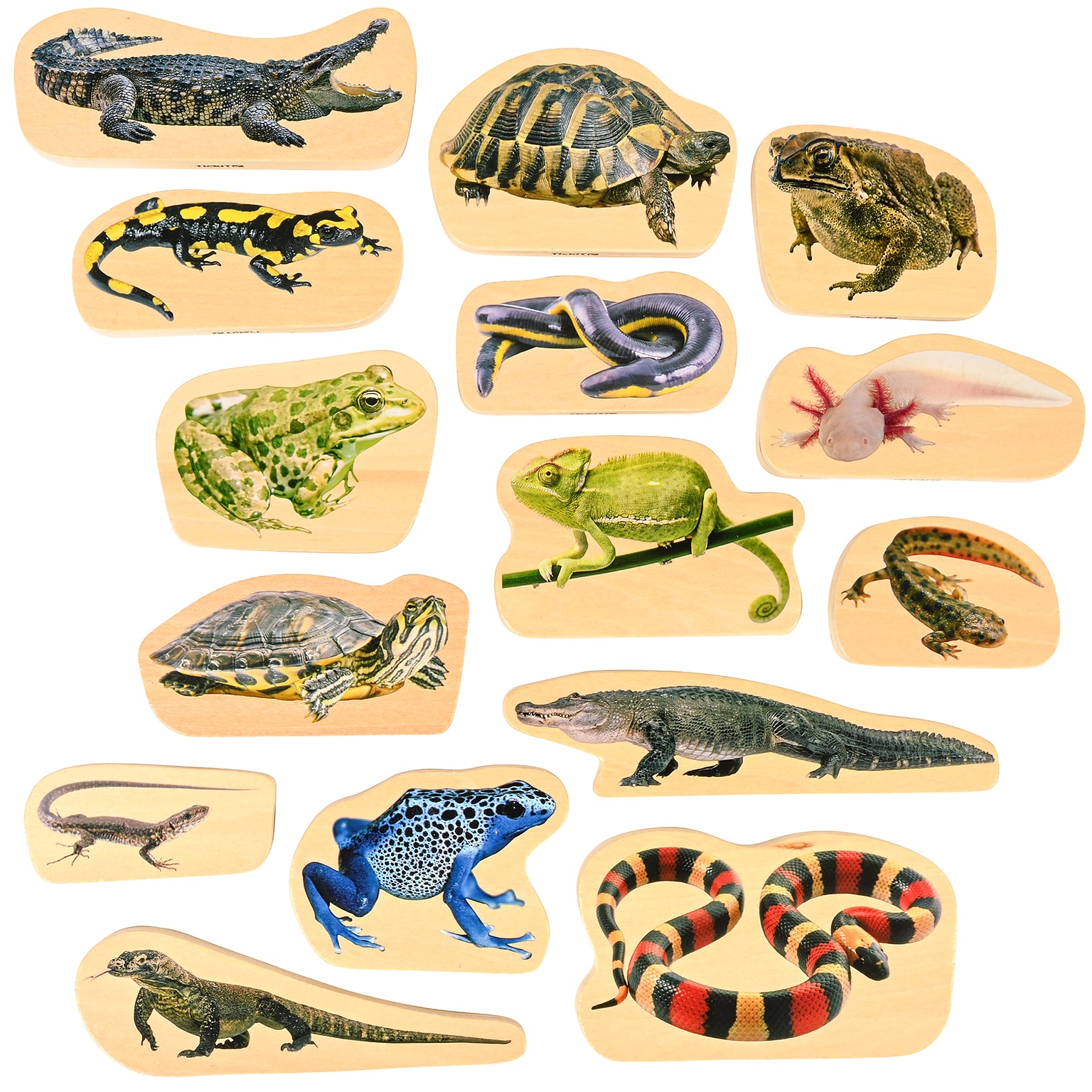 TickiT Wooden Reptile & Amphibian Blocks, Natural, 15/Set (CTU73570)