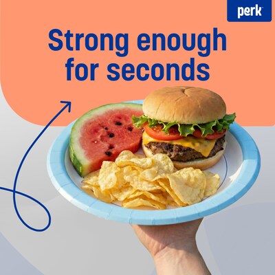 Perk™ Heavy-Weight Paper Plates, 10", Blue/White, 125/Pack (PK54330)