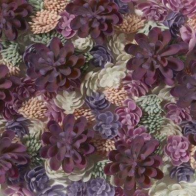 GIFT OF THE WEEK - Succulent Vase Filler