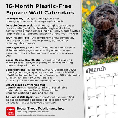2026 BrownTrout Shih Tzu 12" x 12" Monthly Wall Calendar (9798330705535)