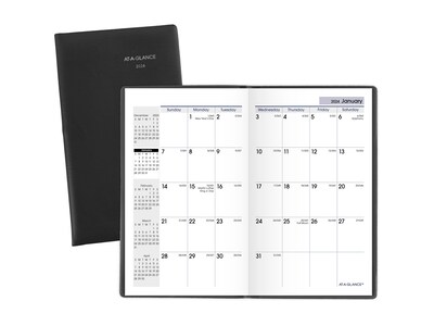 2024 AT-A-GLANCE DayMinder 3.5" x 6" Monthly Planner, Faux Leather Cover, Black (SK53-00-24)