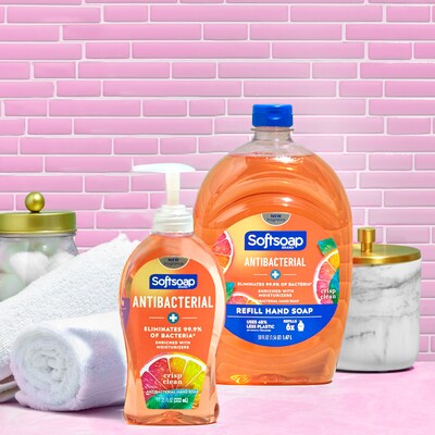 Softsoap Antibacterial Liquid Hand Soap Pump, Crisp Clean, 11.25 fl. oz. (US03562A)