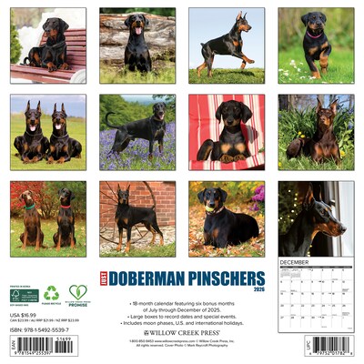 2026 Willow Creek Doberman Pinschers 12 x 12 Monthly Wall Calendar (55397)