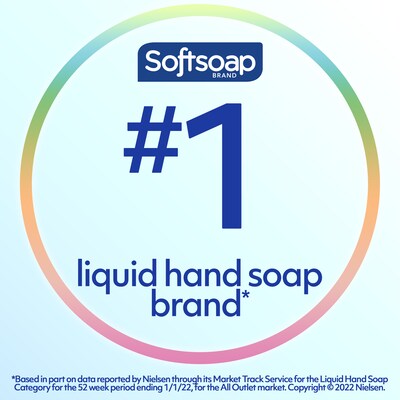 Softsoap Antibacterial Liquid Hand Soap, Cool Splash, 11.25 Oz. (US07327A)