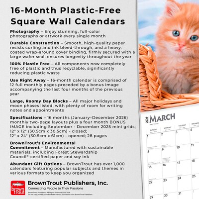 2026 BrownTrout Ginger Cats 12" x 12" Monthly Wall Calendar (9798330703425)