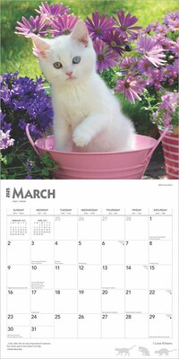 2025 BrownTrout I Love Kittens 12" x 12" Monthly  Wall Calendar (9781975477288)