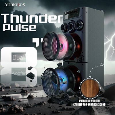 Audiobox Wireless Bluetooth Party Speaker with Dual 8-In. Woofers, Lights, Wireless Mics, WaveSync & Remote, Black (ABX-8080R)