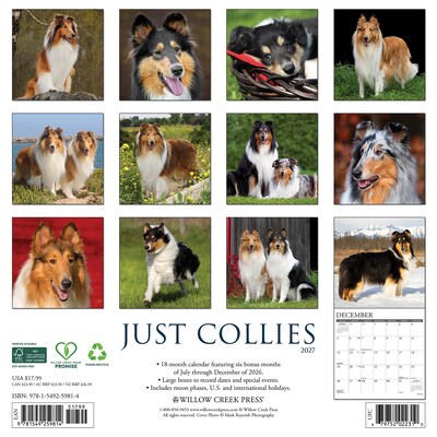 2027 Willow Creek Collies 2027 12 x 12 Monthly Wall Calendar, Assorted Colors (59814)