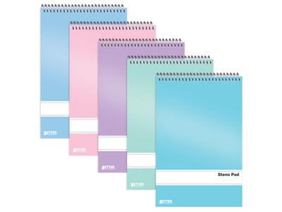 Better Office Steno Pads, 6" x 9", Gregg-Ruled, Assorted Colors, 80 Sheets/Pad, 10 Pads/Pack (25810-10PK)