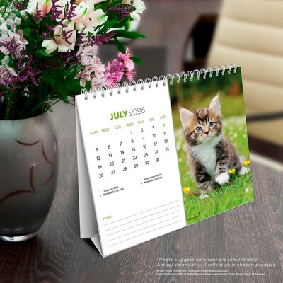 2026 BrownTrout Kittens 7.5" x 6" Monthly Desk Calendar (9798330704118)