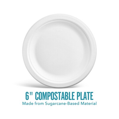 Perk™ Eco Compostable Paper Plates, 6", White, 250/Pack (PK61286)