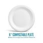 Perk™ Compostable Paper Plates, 6", White, 250/Pack (PK61286)