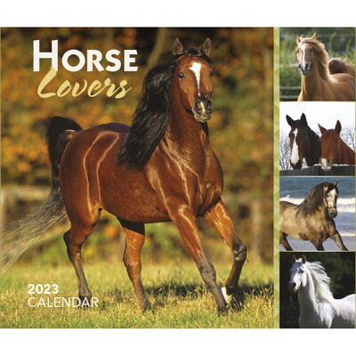 2023 BrownTrout Horse Lovers 6 x 5 Day-to-Day Calendar, (9781975454869)