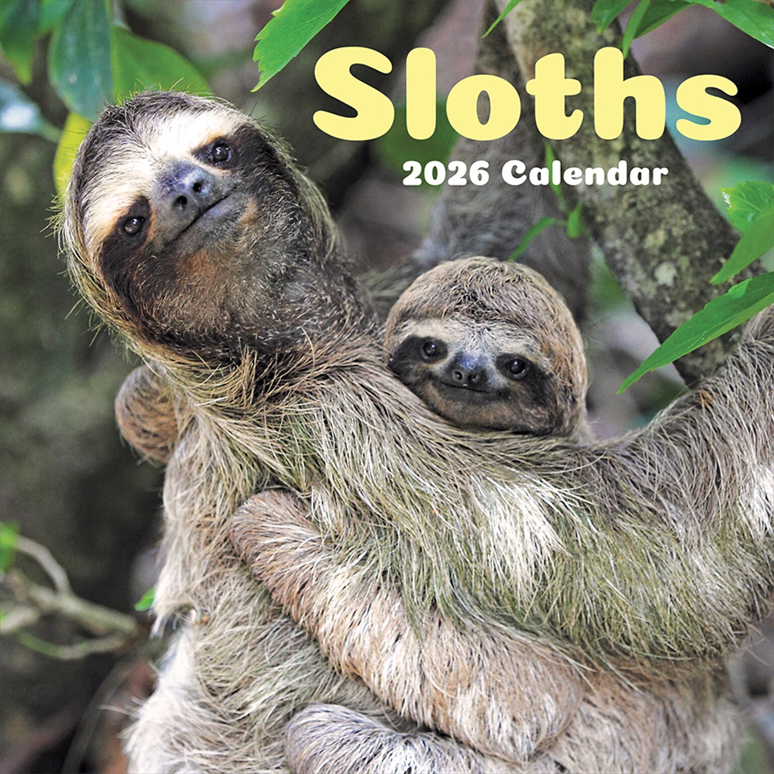 2026 TF Publishing Sloths 12 x 12 Monthly Wall Calendar (26-1045)