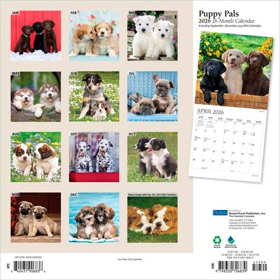 2026 Plato Puppy Pals 12 x 12 Monthly Wall Calendar (9798330706839)