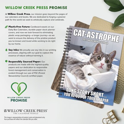 2027 Willow Creek Cat-astrophe 6.5" x 8.5" Weekly & Monthly Desk Calendar (64351)
